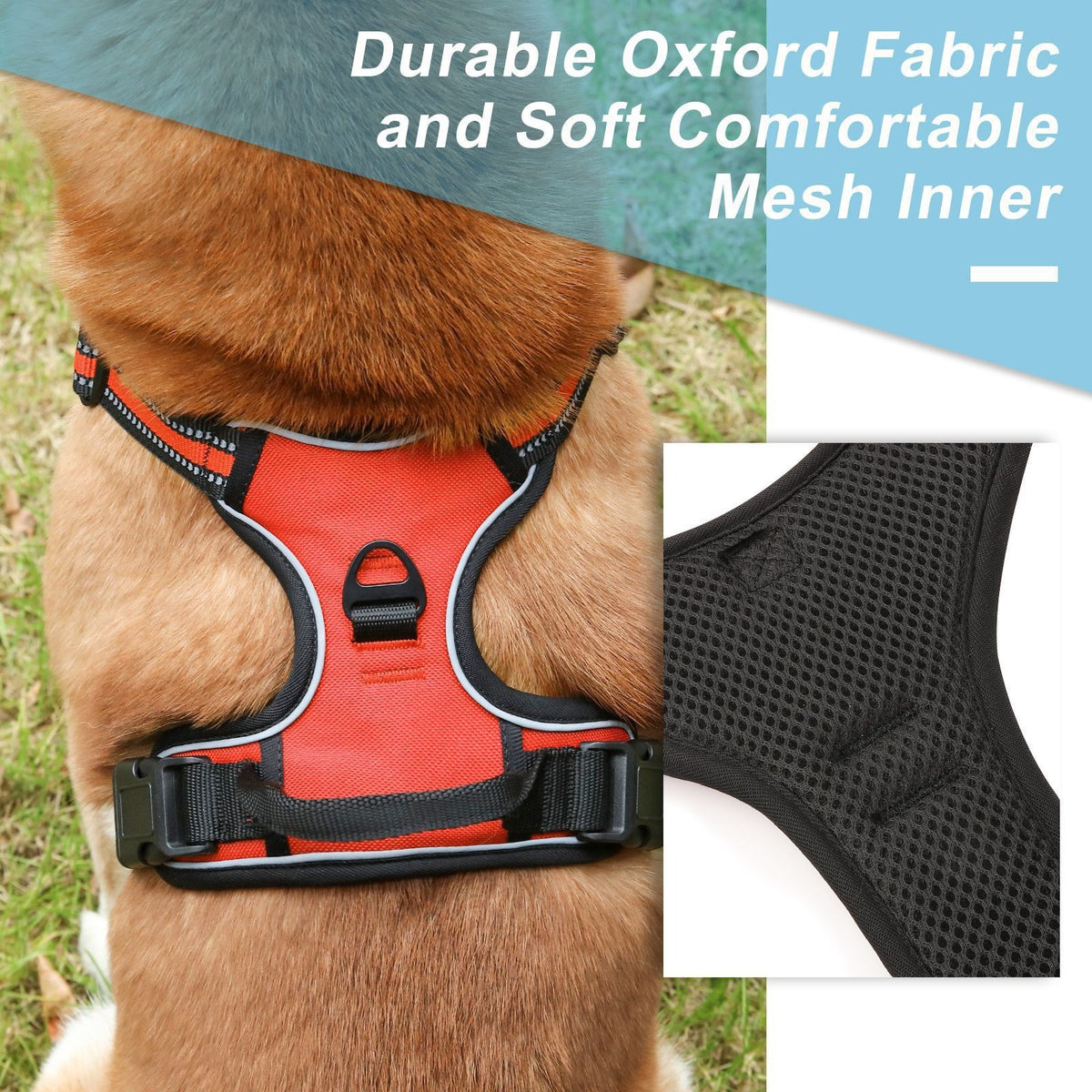 Reflective Adjustable Dog Harness with Leash